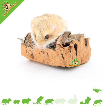 Trixie Meseta de corcho de 12 cm para pequeños roedores y pájaros