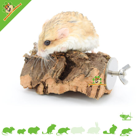 Trixie Plateau en liège 12 cm pour petits rongeurs et oiseaux