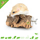 Trixie Kurk Plateau 12 cm voor Traliekooien