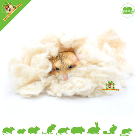 Vitakraft Matériau de nidification doux et rêveur, coton