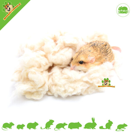 Vitakraft Matériau de nidification doux et rêveur, coton