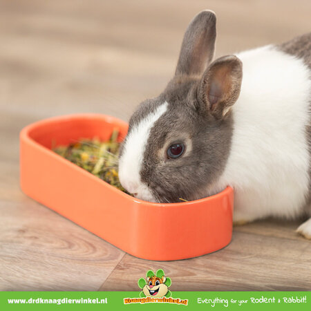 Trixie Bol à nourriture/bol à eau long en céramique 22 cm