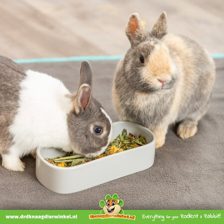 Trixie Bol à nourriture/bol à eau long en céramique 22 cm