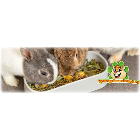 Trixie Bol long en céramique pour aliments/eau, 22 cm