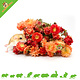 Knaagdier Kruidenier Dried Strawflowers Salmon