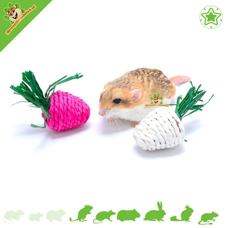 Trixie Straw Toy Radishes 8 cm
