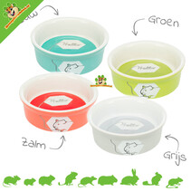 Keramik-Futter-/Wassernapf, farbig, Meerschweinchen, 11 cm