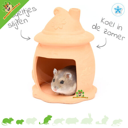 Trixie Maison champignon forestier en terre cuite 14 cm