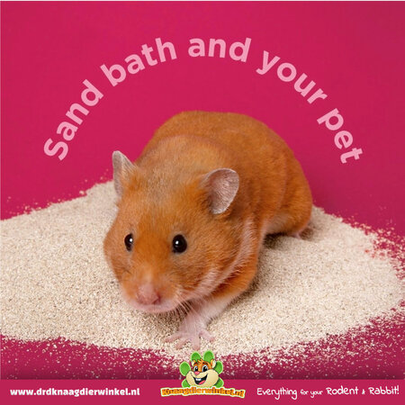 Mealberry Little One Chinchilla Badzand voor Hamsters, Gerbils, Chinchilla’s en Degoes