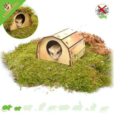 Trixie Drewniany domek dla chomików bez gwoździ Mikkel Flamed 13 cm