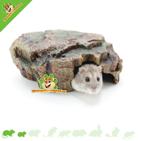 Trixie Regenwald-Versteck in 16, 22 und 30 cm für Kleine Nagetiere