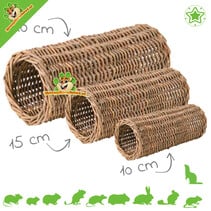 Woven Willow Tunnel