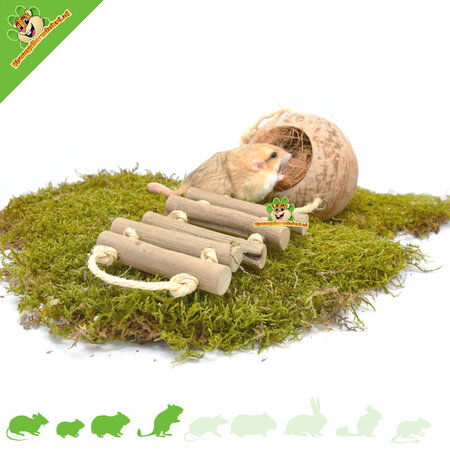 Trixie Kokosnoot Huis met Ladder 13 cm