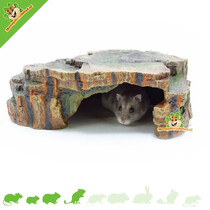 Rainforest Shelter 24 cm