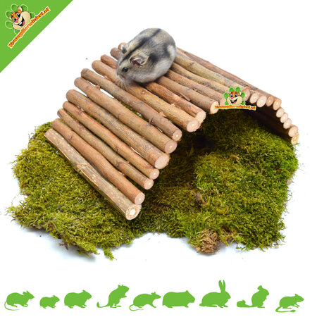 Trixie Willow bridge 28 cm for rodents
