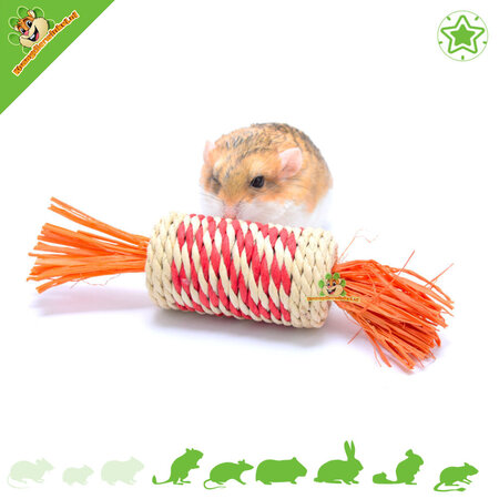 Trixie Knaagdier & Konijnen Speelgoed Oranje 18 cm