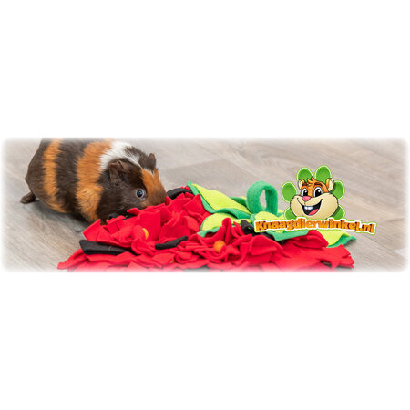 Trixie Erdbeer-Schnüffelmatte 40 cm für Nagetiere und Kaninchen