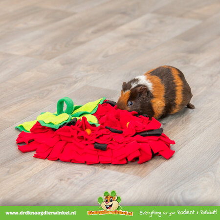 Trixie Schnüffelteppich Erdbeere 40 cm