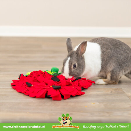 Trixie Schnüffelteppich Erdbeere 40 cm