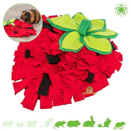 Trixie Schnüffelteppich Erdbeere 40 cm