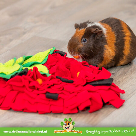 Trixie Schnüffelteppich Erdbeere 40 cm