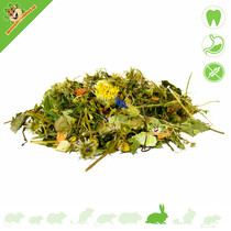 Natural Grain Free Rabbit Food without Pellets 2 kg