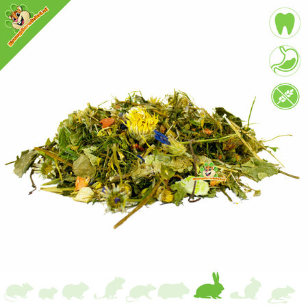 JR Farm Aliment naturel sans céréales pour lapins, sans granulés, 2 kg