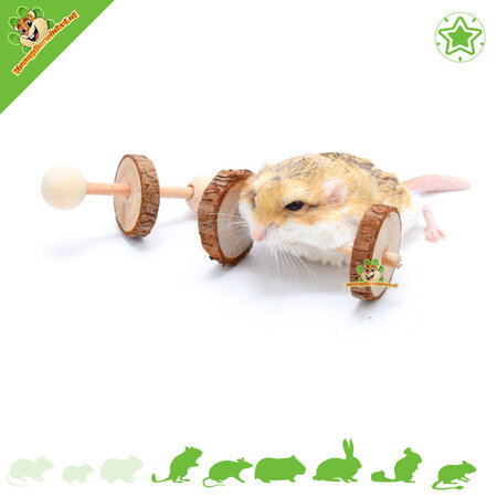 Trixie Set of Wooden Dumbbells 4.5 cm