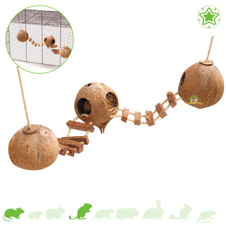Driedubbel Kokosnoot Huis met Ladder voor muizen en gerbils