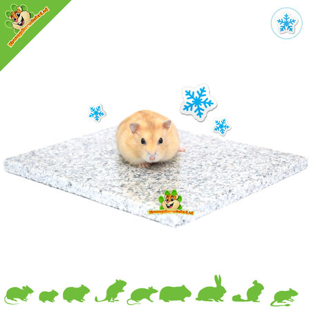 Elmato Kühlender Granitstein für Nagetiere und Kaninchen!