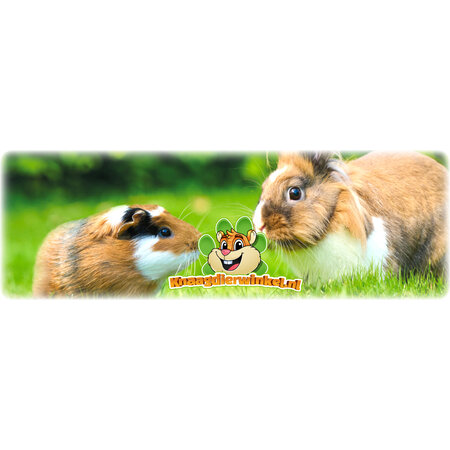 Beaphar Nature Guinea Pig Grain Free