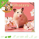 Calendrier des hamsters 2025