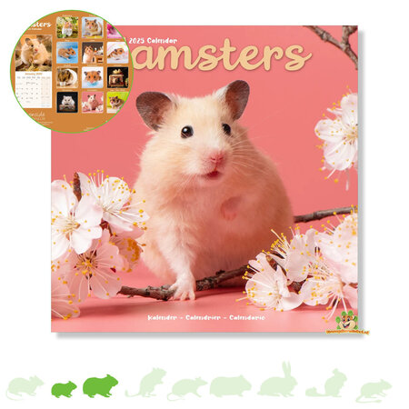 Hamster Kalender 2025