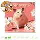 Hamster Calendar 2025