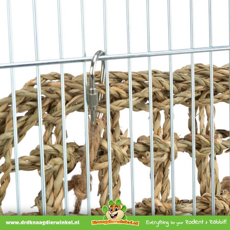 Trixie Muro de escalada y mordisqueo 30 cm