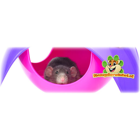 Savic ¡Sputnik XL morado/rosa de 29 cm para roedores!