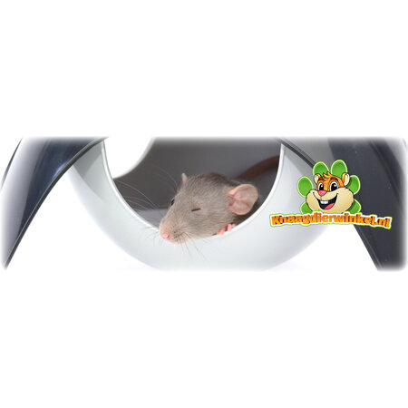 Savic Sputnik XL 29 cm Zwart/Grijs voor Knaagdieren