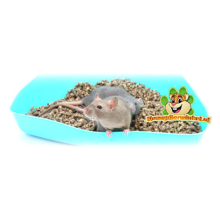 Trixie Hoektoilet 36 cm voor Cavia’s, Ratten & Dwergkonijnen