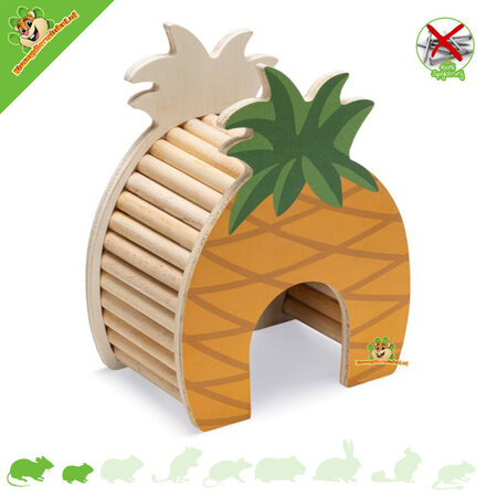 Wooden House Pineapple 13 cm