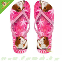 Chaussons cochon d'Inde