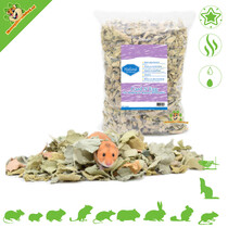 Card N Egg 20 litres