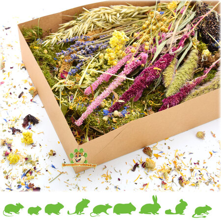 Knaagdier Kruidenier Summer Harvest Herb Package – harvest looks for hamsterscaping & foraging