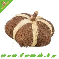 Kokosvezel Pompoen Speelgoed 9 cm