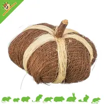 Citrouille en fibre de coco, jouet de 9 cm