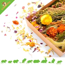 Autumn Harvest Herb Parcel