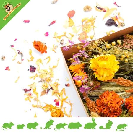 Knaagdier Kruidenier Herb Package Autumn Harvest