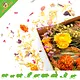 Knaagdier Kruidenier Herbstkräuterpaket – Herbstfarben für Hamstergärten und zum Sammeln von Kräutern