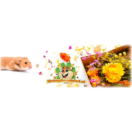 Knaagdier Kruidenier Autumn Harvest Herb Packet – autumn colours for hamster scaping & foraging