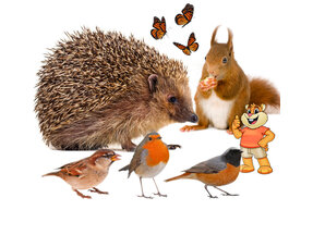 animales de jardin