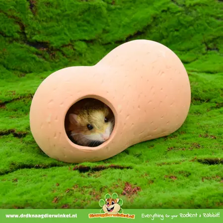 Terracotta House 21 cm for Rodents!